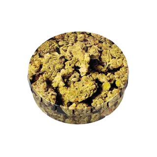 Контейнер Buds ClickClack