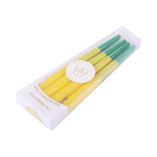 Конусы Elephant B&G 8 штук