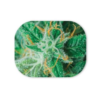 Магнитная крышка AK47 Small  18 x 14 см