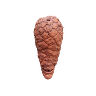 Трубка Шишка