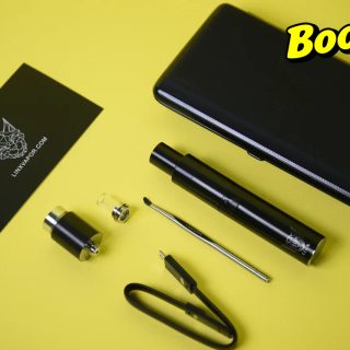 Вапорайзер Linx Eden - фото 4